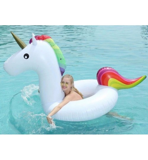 Inflatable Pool Float -175 M