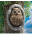 Owl Hanging Board Resin Ornaments