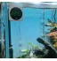 Digital Aquarium Thermometer LED Touch Screen