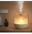 Humidifier Diffusers