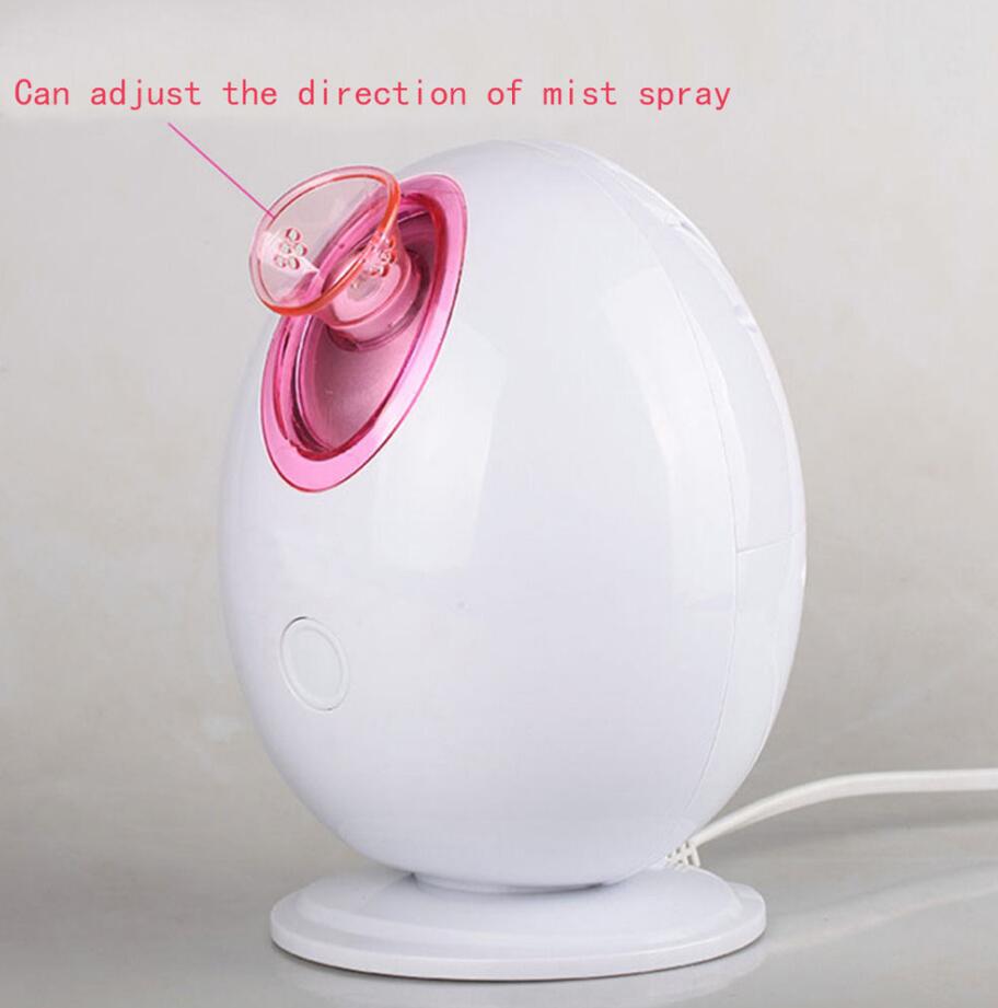 220V Facial Face Thermal Spa Steamer Pores Steam Sparyer Skin Sauna Machine