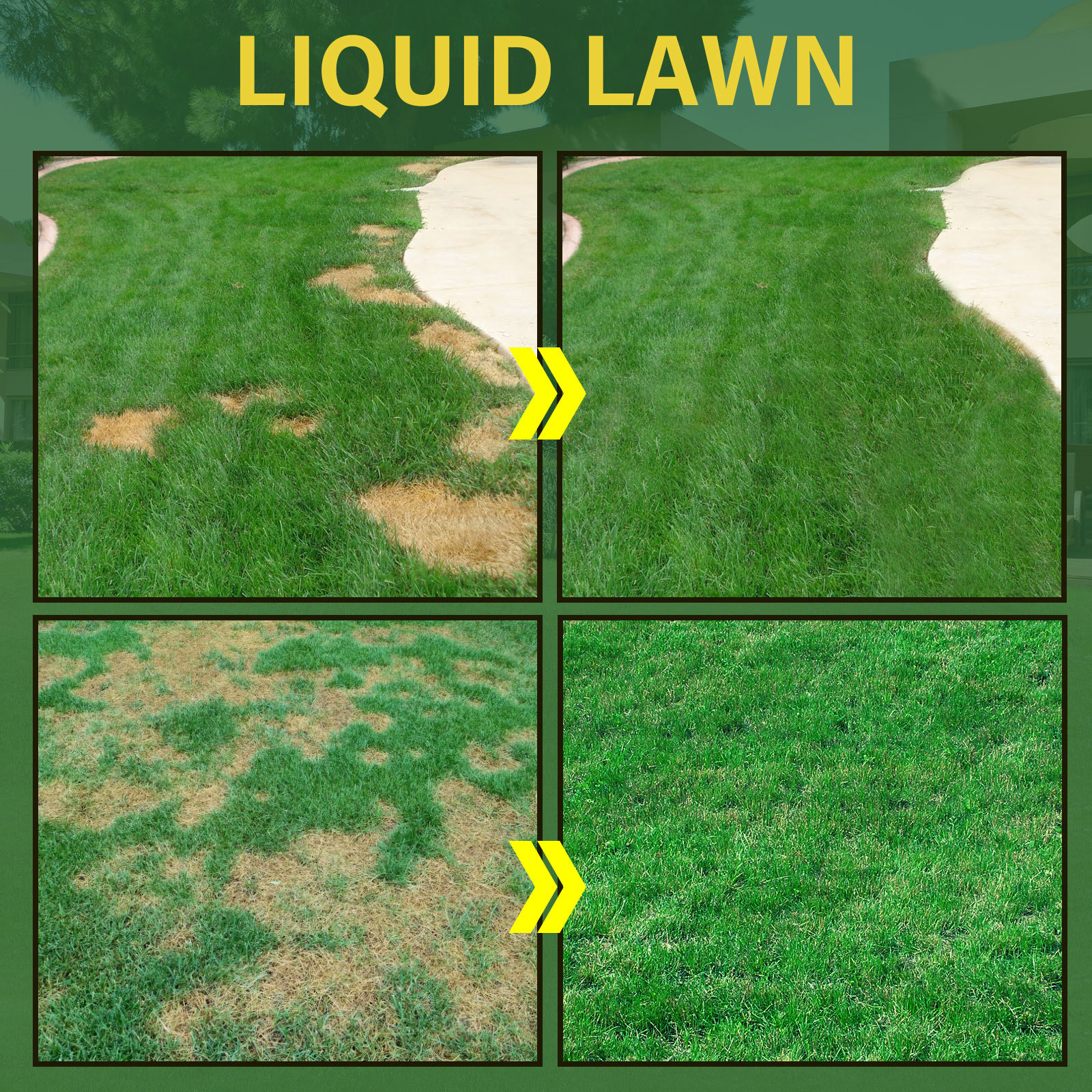 Household Seeding System Liquid Spray Seed Lawn Care