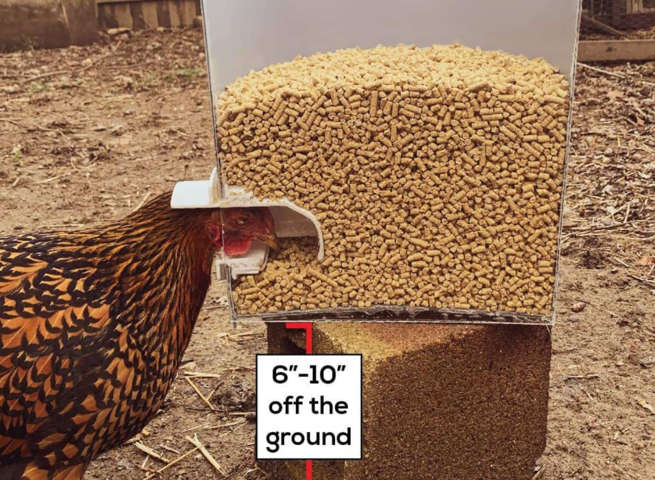 Chicken Feeder Automatic Poultry Feeder with Rat Stopper Caps 6 Ports